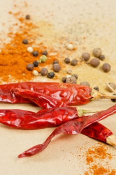 dried peppers and other kind of peppers spices on a brown background
