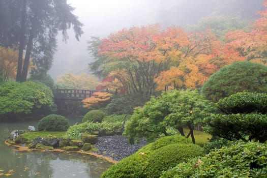 Foggy Morning at Japanese Garden by the Pond and Bridge in Fall