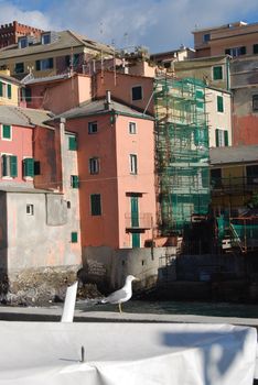 The city of Genoa with its palace, skyscraper and the acient quarter of Boccadasse