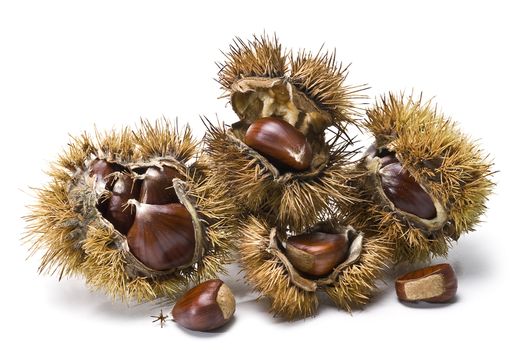 Chestnuts isolated on a white background.