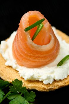 Canape with Salmon on white dish