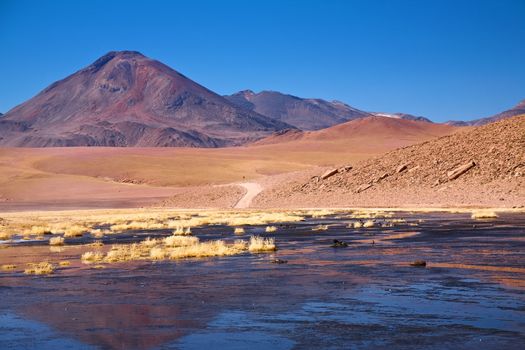 stratovolcano Cerro Colorado near Rio Putana in Atacama region, Chile