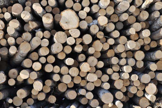 Fragment of stack of birch logs background