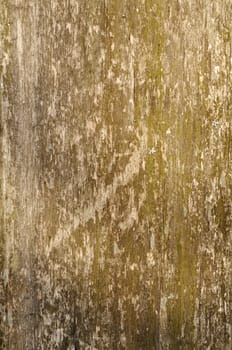 Close up of weathered wooden surface background