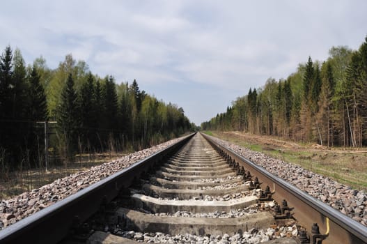 Landscape with railway track in forest on spring time