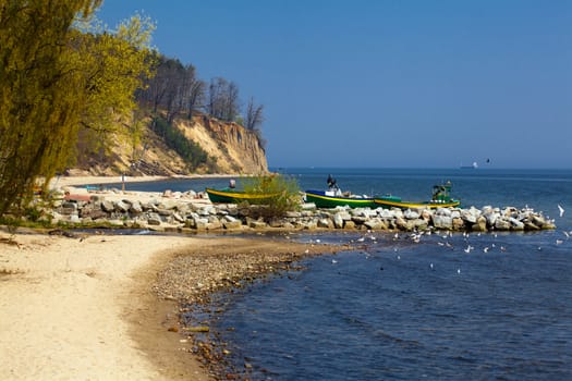 Summer landscape on the sunny beach
