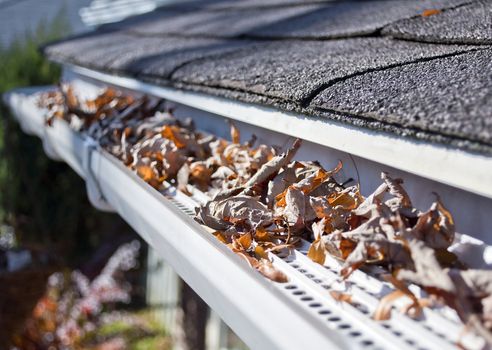 Gutter guards preventing fall leaves from clogging gutter.