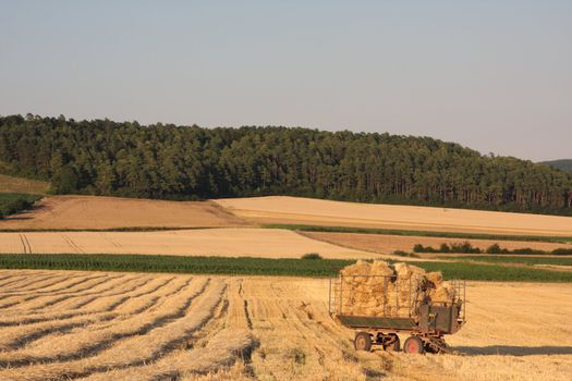 trailer with straw bales on harvested field