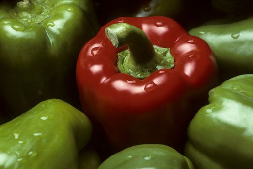 Closeup of a single red Bell pepper among green peppers