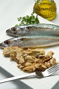 mackerel fiillet with fresh ingredients on white dish