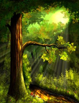 illustration, a trail in the forest to sunlight