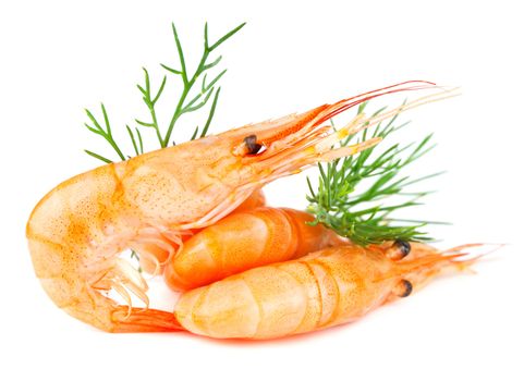 Shrimp with dill, isolated on white. Macro.