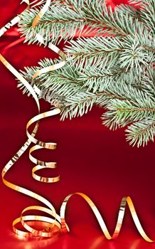 Isolated on a red background spruce twig, the Christmas Streamer.