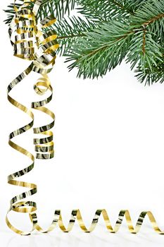 Isolated on a white background spruce twig, the Christmas Streamer.

