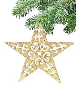 Isolated on a white background spruce twig, the Christmas star.

