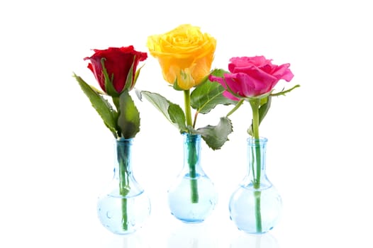 three roses in a vase on a white background