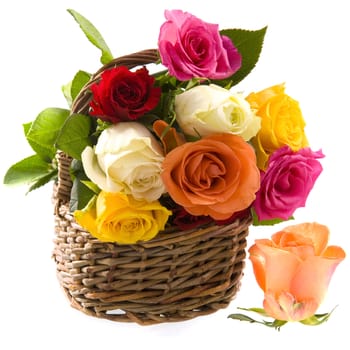 a basket with colorful roses