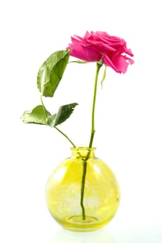 a yellow vase with a beautiful pink rose