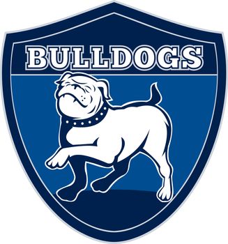 illustration of a Proud English bulldog marching with words "bulldogs" in background set inside a shield suitable for any sports team mascot