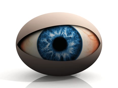 concept  of an eye on a white background
