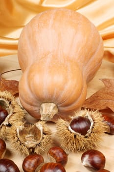 Autumn composition with pumpkin and chestnuts over a yellow background