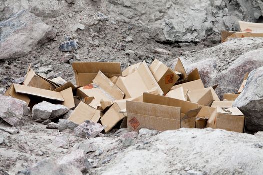 Dumped Cardboard Boxes in Nature