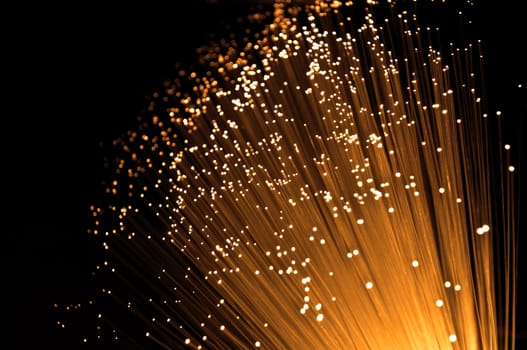 Close up capturing the ends of many golden glowing fibre optic light strands against black.