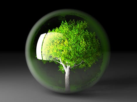 a green tree in a transparent bubble