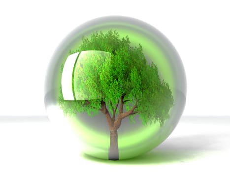 a green tree in a transparent bubble