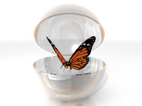 the beautiful butterfly in a open bubble