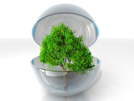 a green tree in a transparent bubble