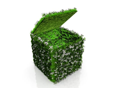 open cube with grass and flowers