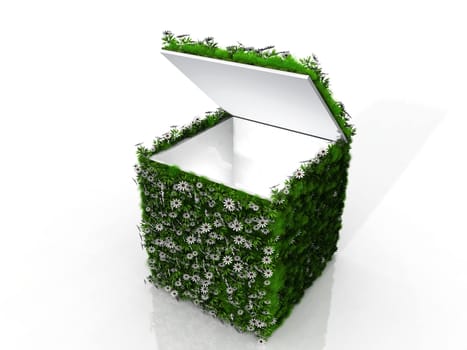 open cube with grass and flowers