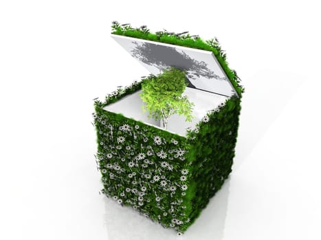 cube with grass flowers and tree