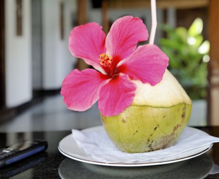 welcome coconut juice milk drink and straw dressed with Hibiscus a pink Indian flower from the local garden, square format with crop space and copy space