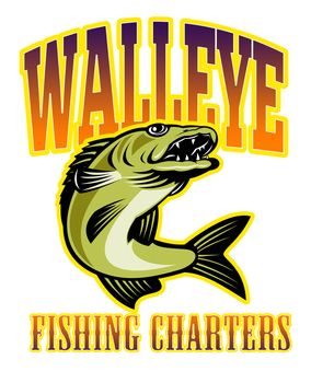 retro illustration of a walleye fish jumping with words "walleye fishing charters"