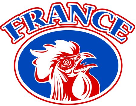 illustration of a french mascot rooster cockerel cock set inside rugby ball shape with words "france"