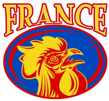 illustration of a french sport sporting mascot rooster cockerel cock set inside rugby ball shape with words "france"