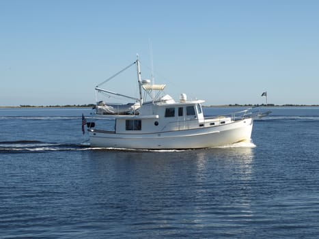 A large white boar on the water heading to port