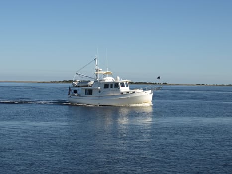 A large white boar on the water heading to port