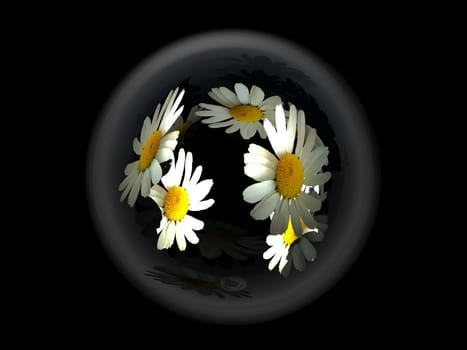marguerittes  in a glass ball