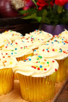 Tray of cream cheese cupcakes on kitchen counter.