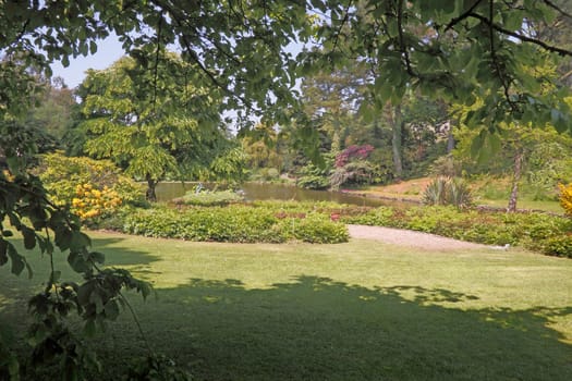 A garden in Devon, England.