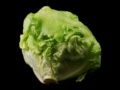 Single whole lettuce isolated towards black backround