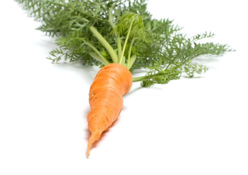 Carrots with tops isolated on a white background.