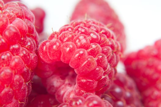 Shot of ripe macro red raspberry, close-up