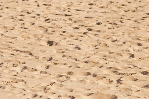 Texture of beach sand full of footprints