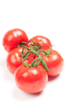 Shot of group tomatoes isolated on white