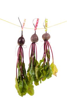 Shot of hanging beet isolated on white