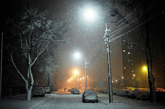 Snow covered cars on the night street